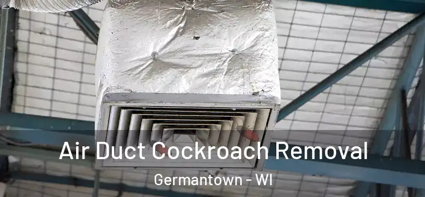 Air Duct Cockroach Removal Germantown - WI