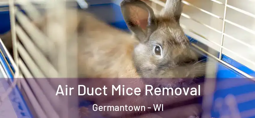  Air Duct Mice Removal Germantown - WI