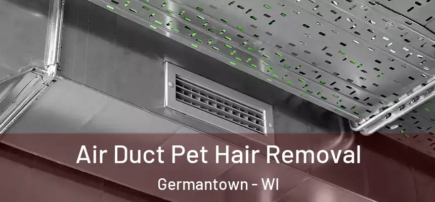  Air Duct Pet Hair Removal Germantown - WI