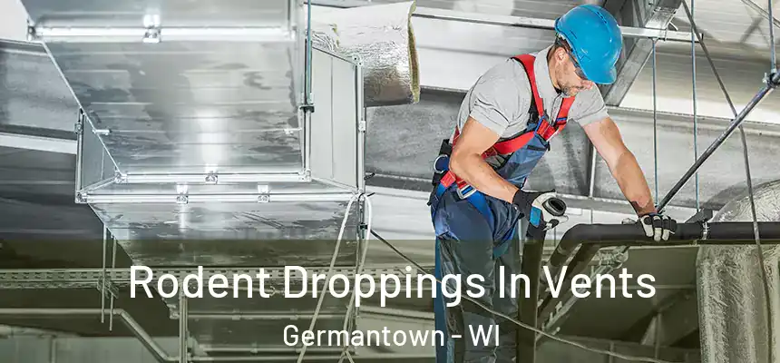  Rodent Droppings In Vents Germantown - WI