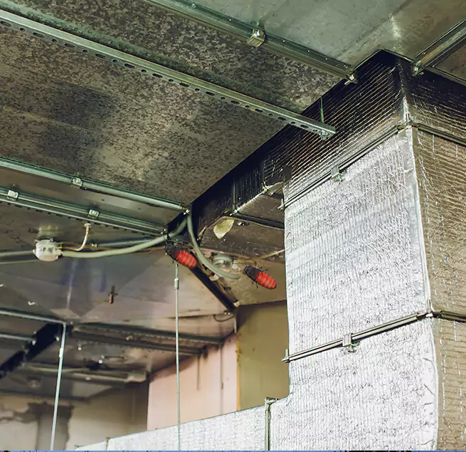 Why Homeowners & Businesses Trust Us in Germantown, WI?