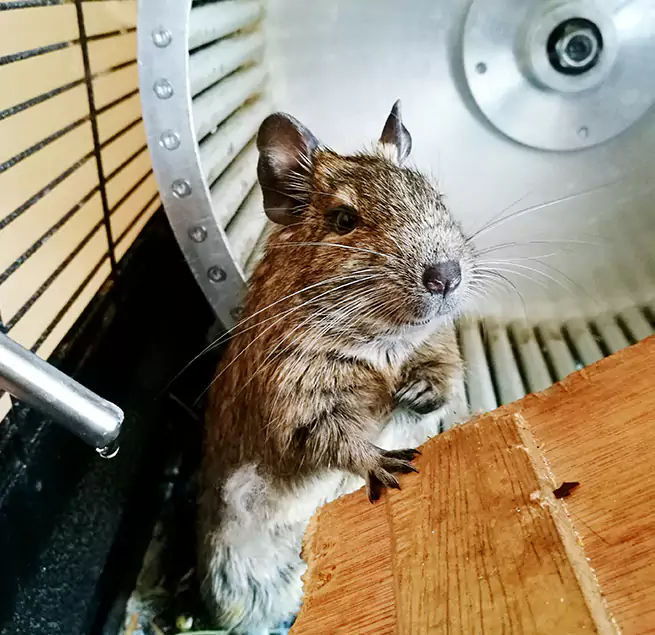 Why Homeowners & Businesses Trust Us Germantown, WI